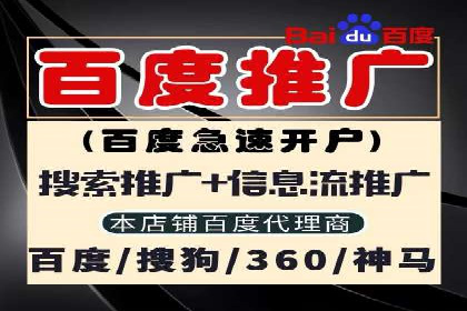 百度竞价成功案例解析